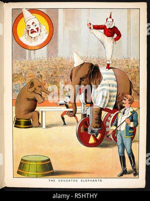 'L'istruito gli elefanti'. Un coinvolgendo gli elefanti e clown in un circo. Il Circo libro. [Foto per bambini.]. G. Routledge & Sons: [Londra; litografato in Olanda, 1890.]. Fonte: 12807.s.62 pagina 9. Lingua: Inglese. Autore: ANON. Foto Stock