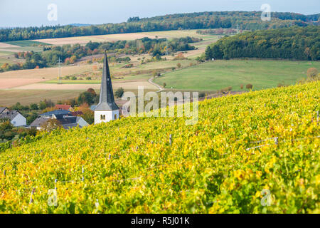 Paesaggio con vigneti lungo il fiume Mosella e valle vicino alla città di Konz, Renania-Palatinato, Germania, Europa Foto Stock