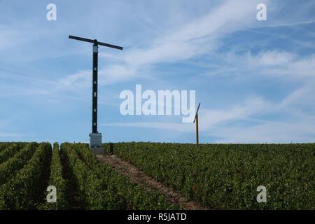 Mulini a vento in vigna Champagne Foto Stock