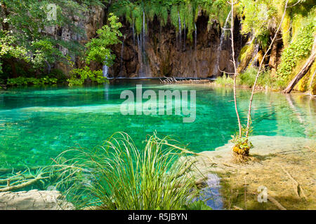 Acqua pulita sui Laghi di Plitvice - Croazia, Europa. Foto Stock