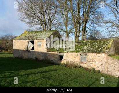 Una vecchia fattoria in pietra edificio vicino Frosterley, Weardale, Co. Durham, England, Regno Unito Foto Stock