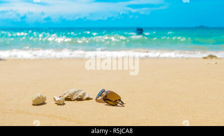 Occhiali da sole shell Coral Reef sulla spiaggia sabbiosa, barca in arrivo. Concetto di viaggio con sfondo sfocato Foto Stock