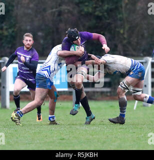 Leicester, Regno Unito. Il 1 dicembre del 2018. Rugby Union. Leicester V Lions Peterborough Lions RFC. Ollie Tapscott fa una pausa per Leicester Lions durante il processo RFU della Lega Nazionale 2 Gioco del Nord tra Leicester LIons e Peterborough Lions rfc ha giocato al TMDP Park, Blaby, Leicester. © Phil Hutchison / Alamy Live News Credito: Phil Hutchinson/Alamy Live News Foto Stock