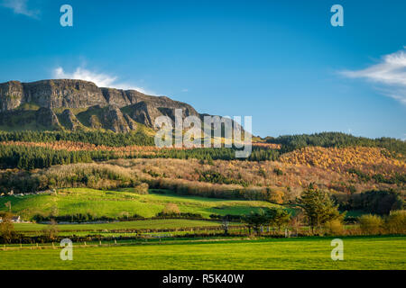 Questa è una foto di Binevenagh montagna vicino a Limavady in Irlanda del Nord. I pini sembrano crescere in strati fino al lato della collina Foto Stock