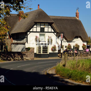 Il Red Lion, Avebury. Foto Stock