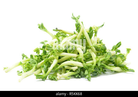 I germogli di arachidi isolato Foto Stock