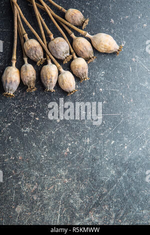 Essiccato teste di papavero. Foto Stock