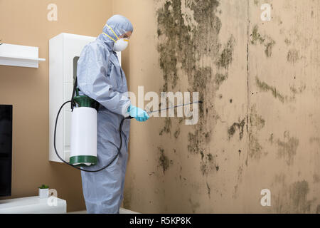 Pest Control lavoratore pesticida di spruzzatura sulla parete Foto Stock