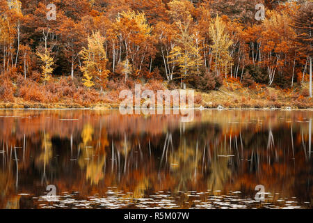 Caduta delle Foglie della riflessione in Jordan Pond, Maine Foto Stock