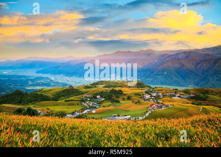 Orange daylily fiore a sessanta Stone Mountain, Fuli, Hualien, Taiwan Foto Stock