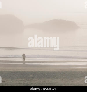 Giovane passeggiate di prima mattina nebbia sulla spiaggia, Tofino area, Isola di Vancouver, Pacific Rim National Park Riserva, British Columbia, Canada Foto Stock