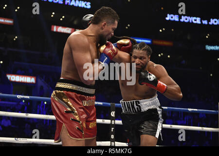 Joe Joyce sconfigge Joe Hanks durante il Heavyweight Championship bout al Staples Center di Los Angeles. Stampa foto di associazione. Picture Data: Sabato 1 dicembre, 2018. Vedere PA storia boxing di Los Angeles. Foto di credito dovrebbe leggere: Lionel Hahn/PA FILO Foto Stock