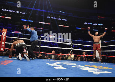 Joe Joyce sconfigge Joe Hanks durante il Heavyweight Championship bout al Staples Center di Los Angeles. Stampa foto di associazione. Picture Data: Sabato 1 dicembre, 2018. Vedere PA storia boxing di Los Angeles. Foto di credito dovrebbe leggere: Lionel Hahn/PA FILO Foto Stock