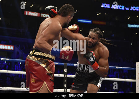 Joe Joyce sconfigge Joe Hanks durante il Heavyweight Championship bout al Staples Center di Los Angeles. Stampa foto di associazione. Picture Data: Sabato 1 dicembre, 2018. Vedere PA storia boxing di Los Angeles. Foto di credito dovrebbe leggere: Lionel Hahn/PA FILO Foto Stock