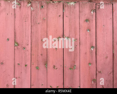 Assicelle di legno di una vecchia porta con la pittura rosa Foto Stock