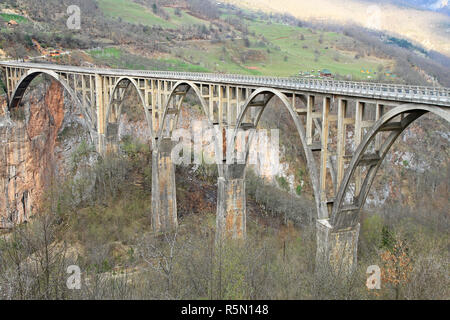 Djurdjevica Tara Bridge Foto Stock