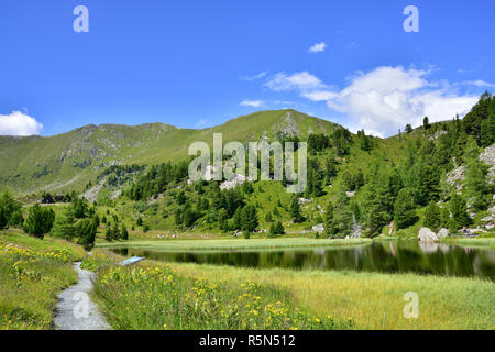 Nockberge,Strada del Nockalm Foto Stock