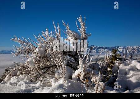 WA15376-00...WASHINGTON - Il Chelan montagne che si eleva al di sopra del coperto nebbia Lago Chalen dalla cresta di eco area nordica nel Okanogan-Wenatchee Nati Foto Stock