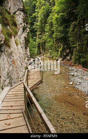 Mauthner gorge in Carinzia Foto Stock