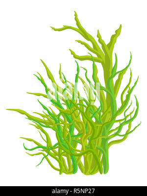 Vettore di alghe icona simbolo di design. Bella illustrazione isolati su sfondo bianco Foto Stock