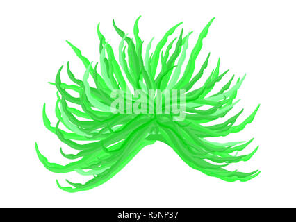 Vettore di alghe icona simbolo di design. Bella illustrazione isolati su sfondo bianco Foto Stock