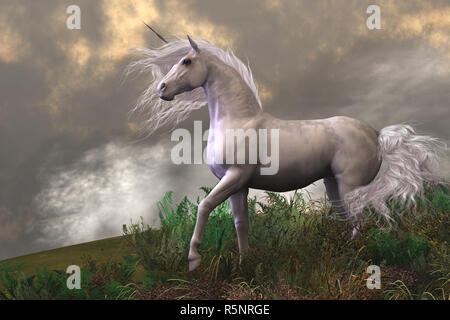 White Unicorn Stallone Foto Stock