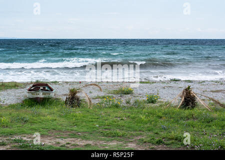 Vecchia barca sulla riva del mare ricoperto di erba Foto Stock