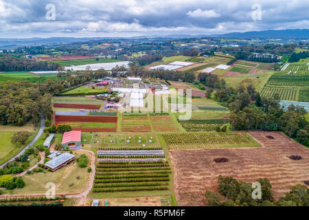 Aziende agricole di ciliegio nel paesaggio di campagna Foto Stock