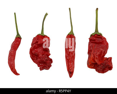 Rossi secchi peperoncino tailandese e Pietro pepe peperoncino isolati su sfondo bianco Foto Stock