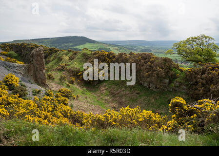 Cliff Rigg cava nei pressi di Roseberry Topping nelle colline del North Yorkshire, Inghilterra. Foto Stock