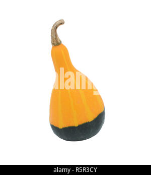 Liscia a forma di pera di colore arancione e verde zucca ornamentale Foto Stock