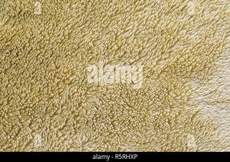 Con fodera in pelliccia sintetica texture giallo brunastro. Vuoto sfondo bianco Foto Stock