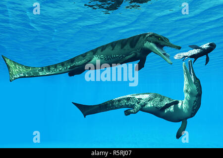 Metriorhynchus RETTILI ACQUATICI Foto Stock