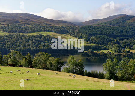 Vista sul Loch Tummel verso Lick & Frenich, Perth & Kinross, Scozia Foto Stock