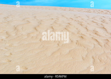 Le dune di sabbia di Lomas de Arena Parco Regionale, Santa Cruz, Bolivia Foto Stock