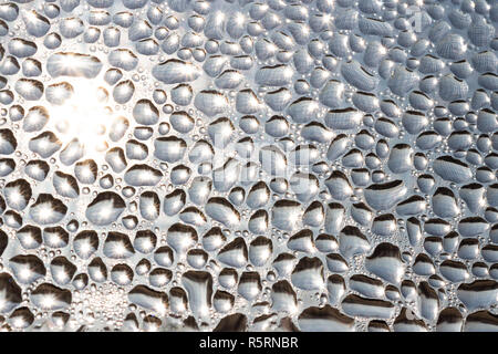 La condensazione di acqua in gocce sulla finestra di superficie in vetro retroilluminati da Sun, zanzariera riflessa in gocce Foto Stock