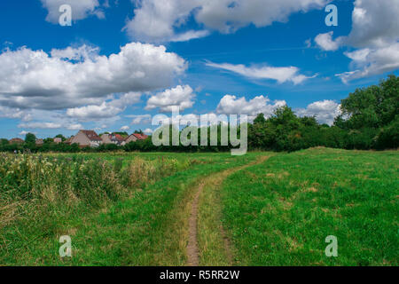 Primavera la natura, paesaggio Foto Stock