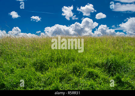 Primavera la natura, paesaggio Foto Stock