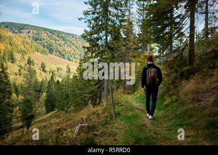 Escursioni attraverso la Schwarzwald in Germania Foto Stock