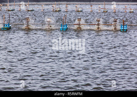 La ruota a pale aeratore Foto Stock