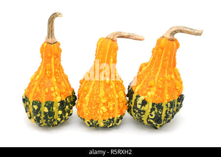 Tre a forma di pera di colore arancione e verde coloquintidi ornamentali Foto Stock