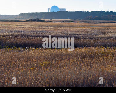 RSPB Minsmere Suffolk REGNO UNITO E distante Sizewell power station Foto Stock