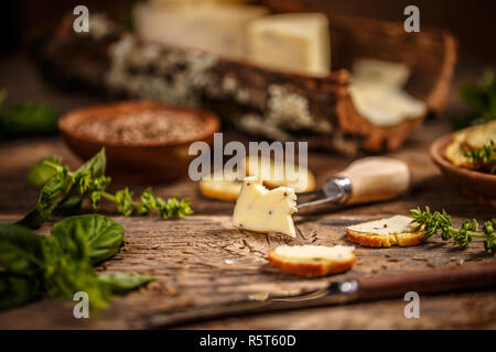 Formaggio con semi di cumino Foto Stock