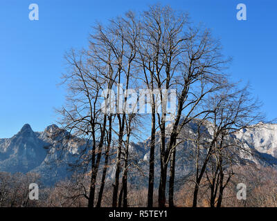 Montagne di Bucegi e Caraiman peak come visto dal Palazzo Cantacuzino, Busteni mountain resort, Valle di Prahova, Romania Foto Stock