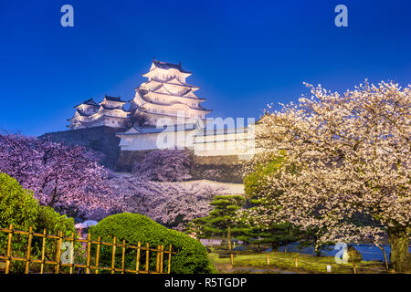 Himeji, Giappone presso il castello di Himeji nella stagione primaverile di notte. Foto Stock