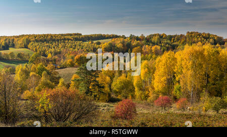 Una bella vista di autunno pieno di colori sui campi e colline ricoperta da foresta. La Polonia, di Warmia e Mazury Foto Stock