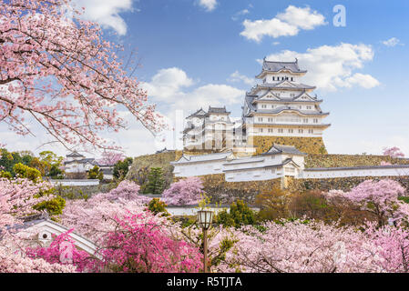 Himeji, Giappone presso il castello di Himeji durante la primavera la fioritura dei ciliegi stagione. Foto Stock