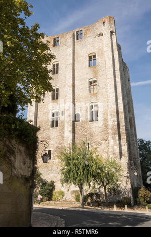 Beaugency, Valle della Loira, Francia, ville fleuri, resti del castello medievale, Tour de Cesar Foto Stock