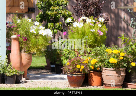 Giardinieri paradise la coltivazione di piante e fiori Foto Stock