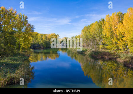 Il fiume di acqua Carrion, con alberi riflessa in autunno e ponte Puentecillas, dal sedicesimo secolo nella città di Palencia, Castiglia e Leon, Spagna, Europa Foto Stock